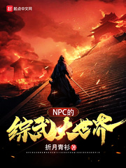 npc综武大世界笔趣阁